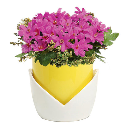 New design glazed ceramic flowerpot logo